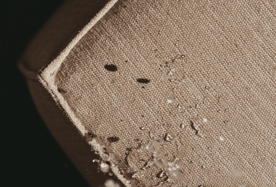 Proteggi il tuo salotto dalla pioggia: mantieni il tuo salotto asciutto con questi suggerimenti!