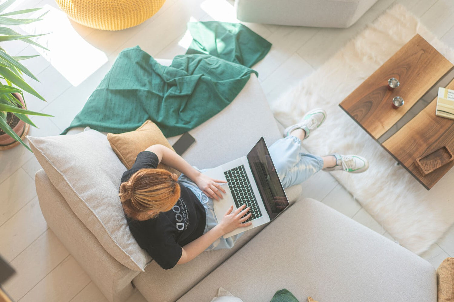 Insetti nell'appartamento: consigli e suggerimenti per un appartamento senza insetti