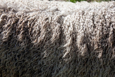 Divani in lana: i vantaggi e le particolarità dei divani in lana