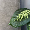 Outlet - Divano modulare per esterni Harvey Showroom Milano